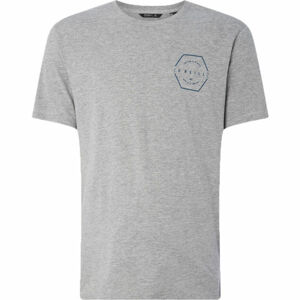 O'Neill LM PHIL T-SHIRT Pánske tričko, sivá, veľkosť S