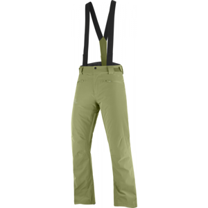 Salomon STANCE PANT M Pánske lyžiarske nohavice, zelená, veľkosť M
